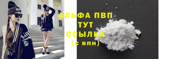apvp Горняк