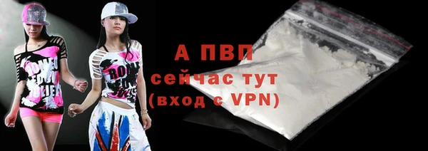 apvp Горняк
