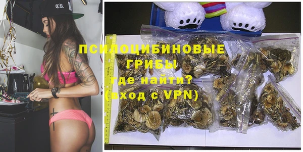 apvp Горняк