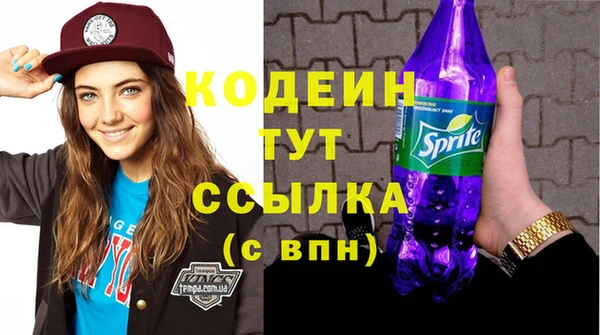 apvp Горняк
