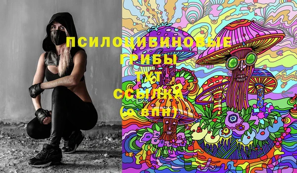 a pvp Горнозаводск
