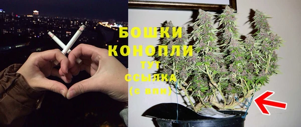 apvp Горняк
