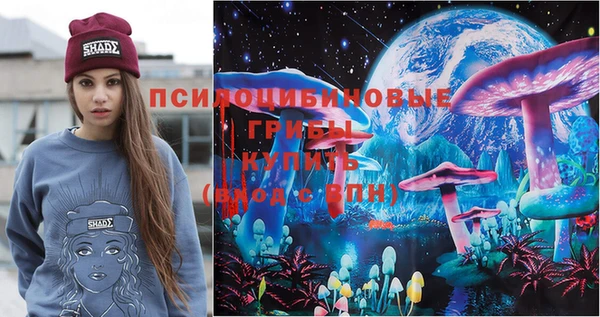 apvp Горняк