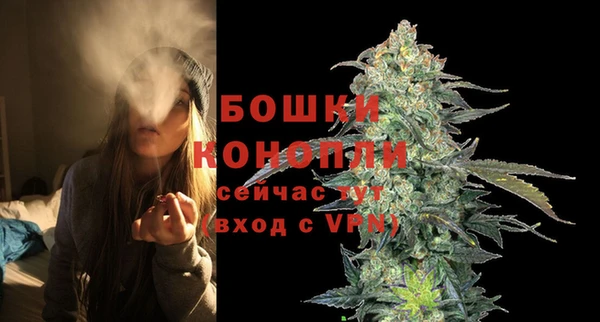 ГАЛЛЮЦИНОГЕННЫЕ ГРИБЫ Видное