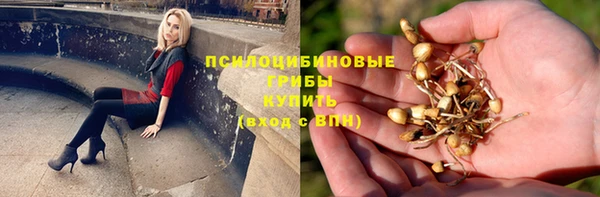 a pvp Горнозаводск