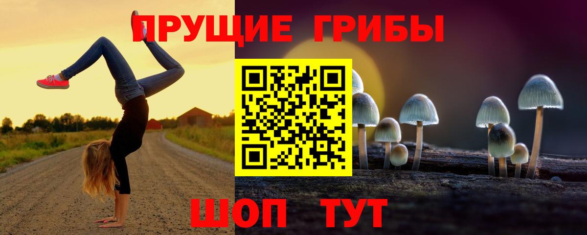 Псилоцибиновые грибы прущие грибы Джанкой